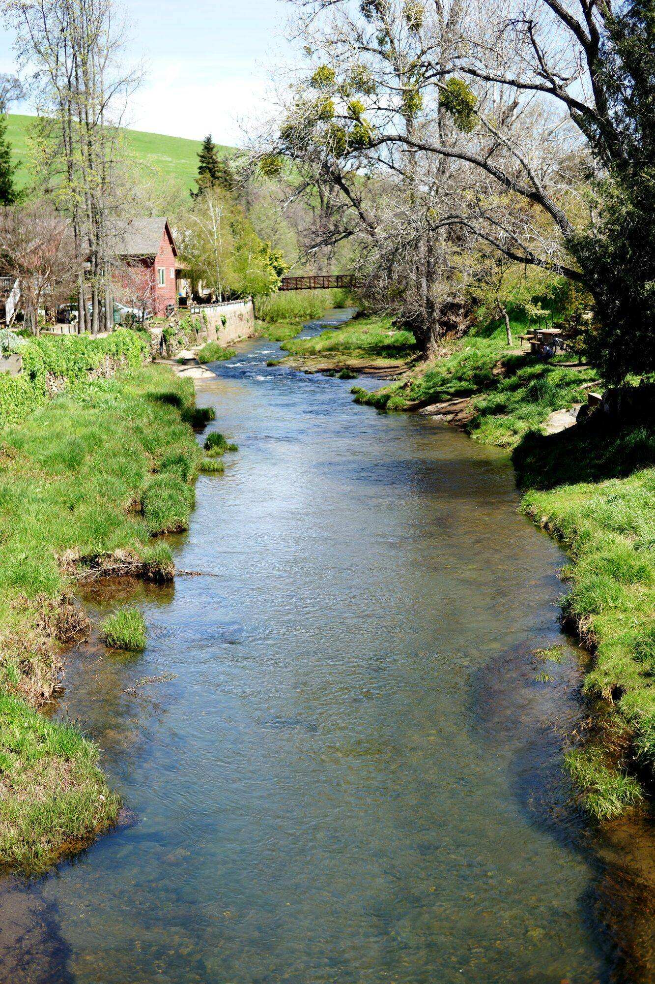 A creek running full in spring
